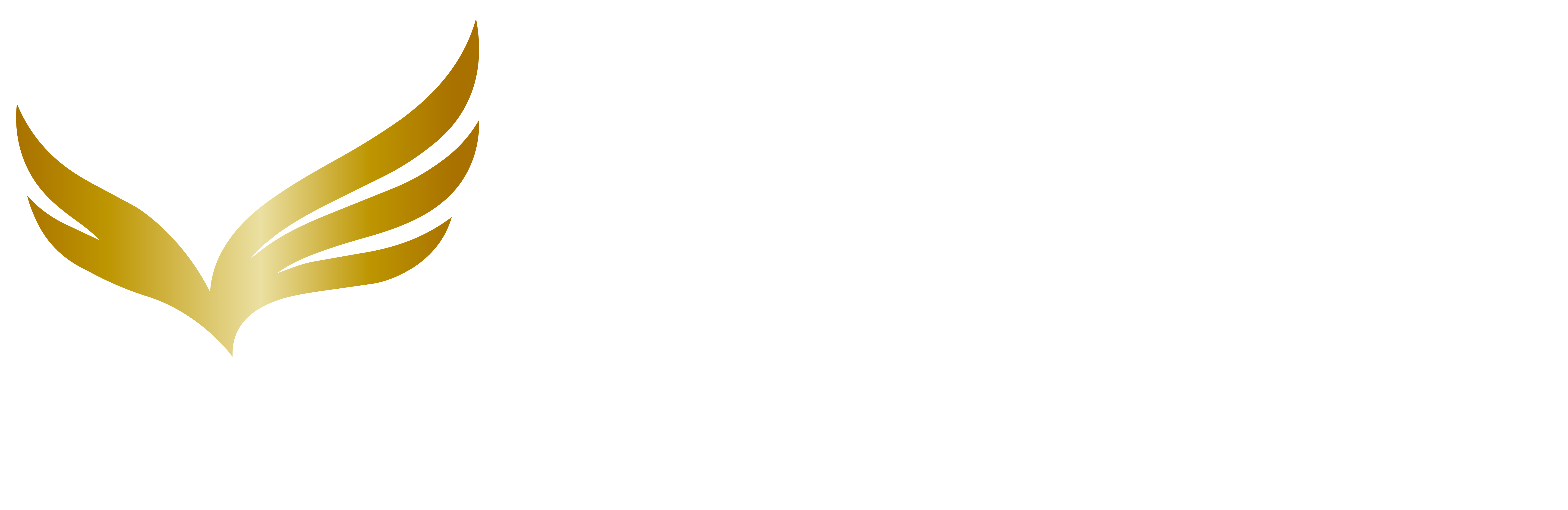 SAFE WING TRANSPORT
